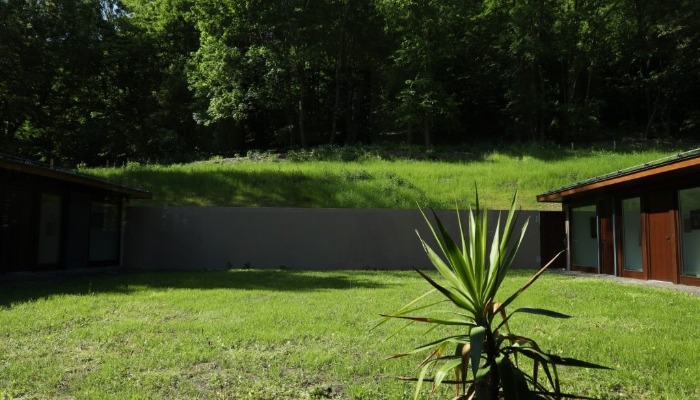 Péter hite az üdvösség útja